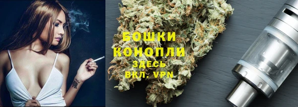 гашик Заволжье